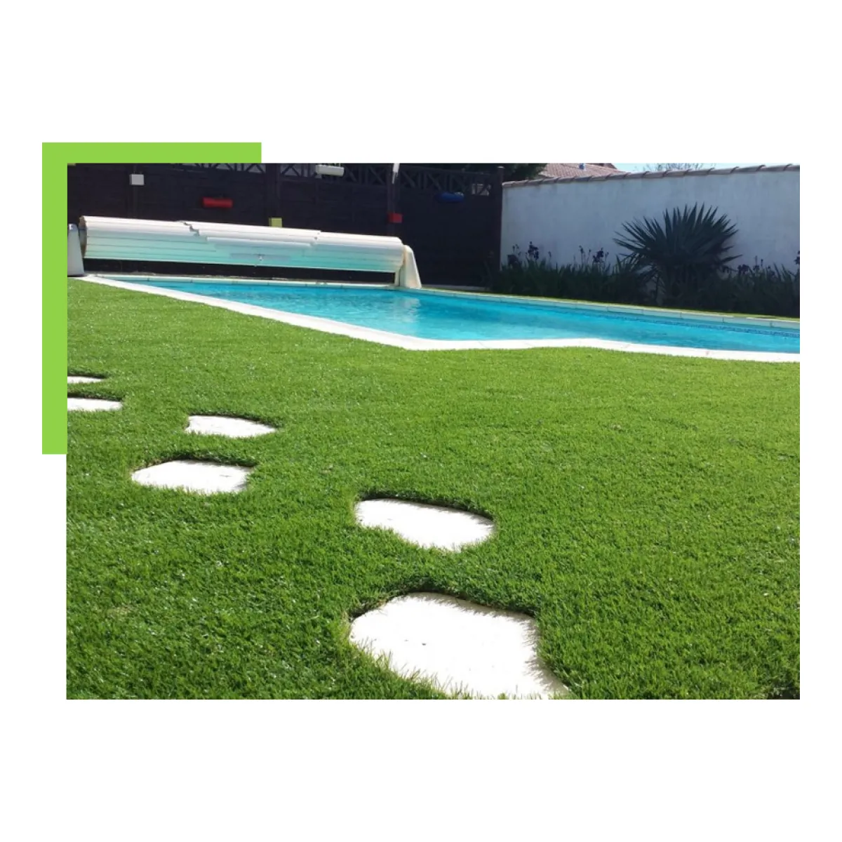 FUNGRASS