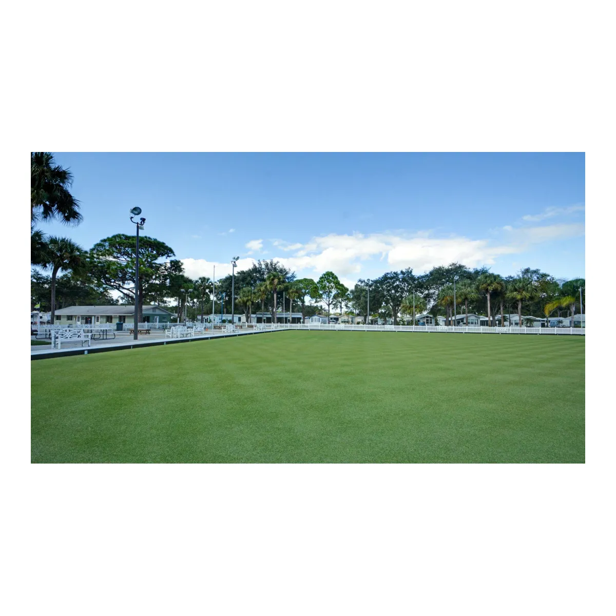 Spine Turf